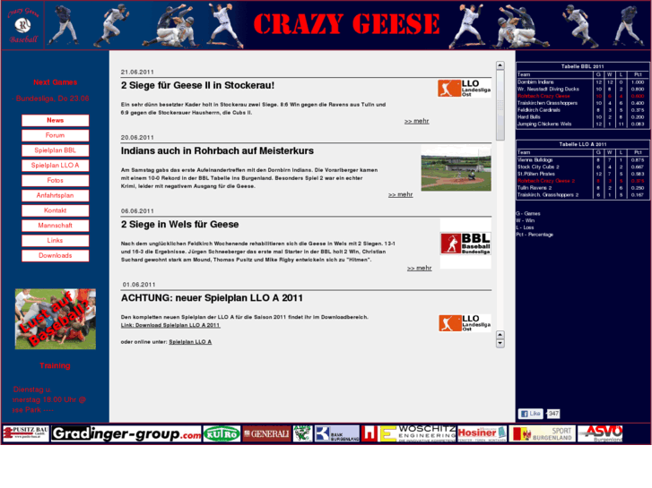 www.crazy-geese.at