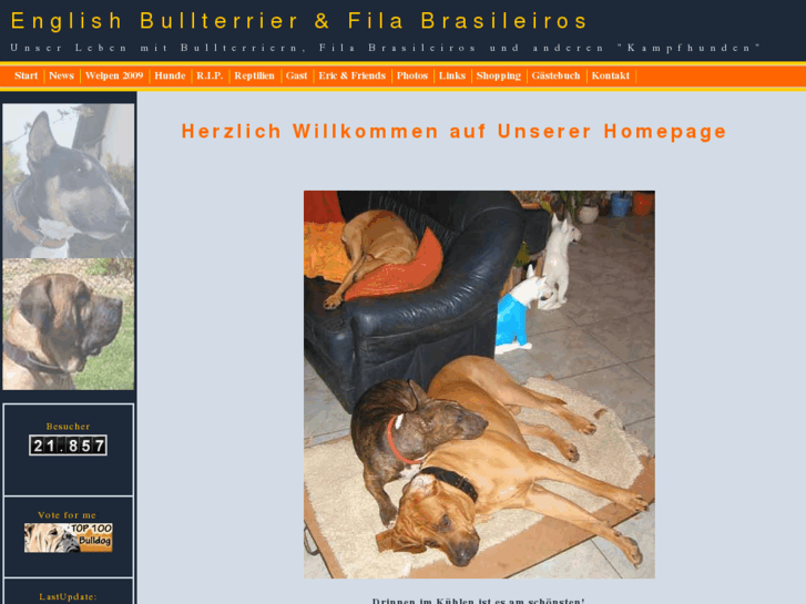 www.english-bullterrier.com