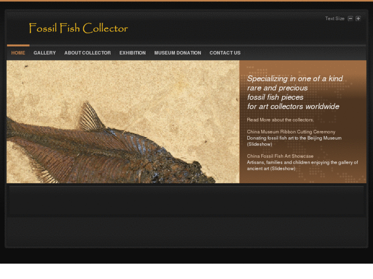 www.fossilfishcollector.com