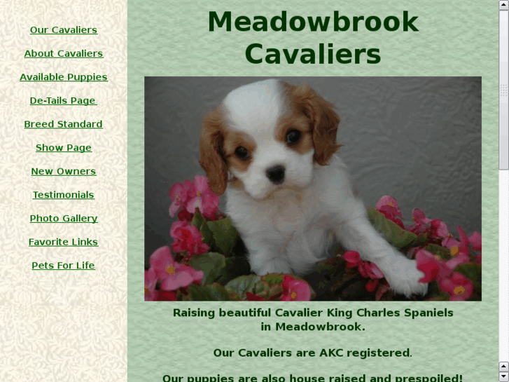 www.meadowbrookcavaliers.com