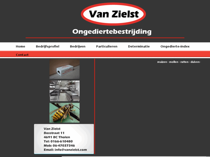 www.vanzielst.com