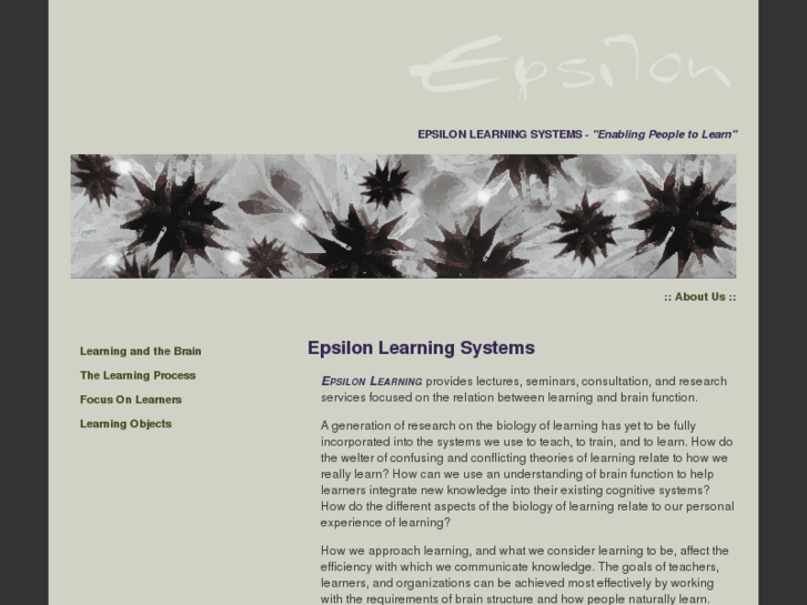 www.epsilonlearningsystems.com