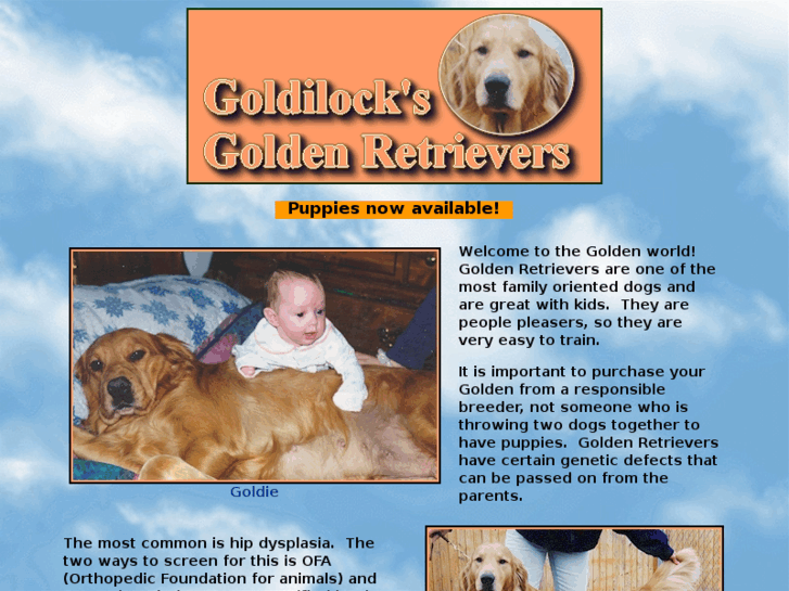 www.goldilocksgoldens.com