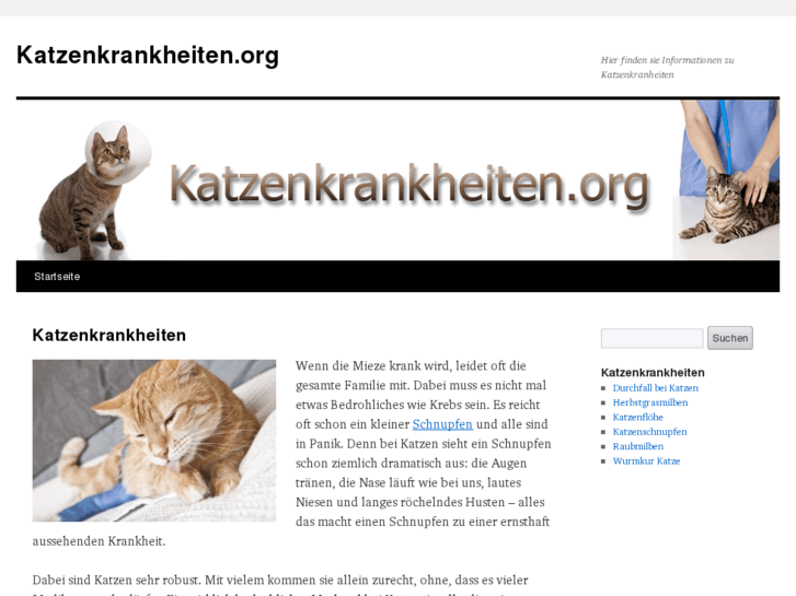 www.katzenkrankheiten.org