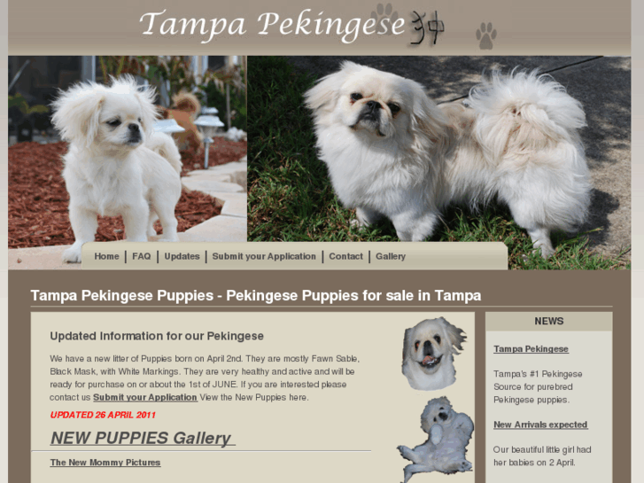 www.tampapekingese.com