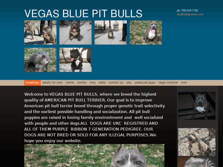 www.vegasbluepitbulls.com