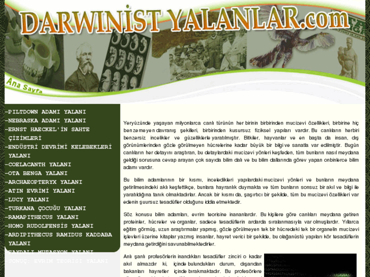 www.darwinistyalanlar.com