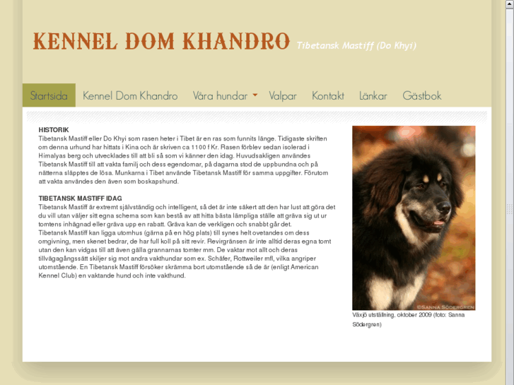 www.domkhandro.se