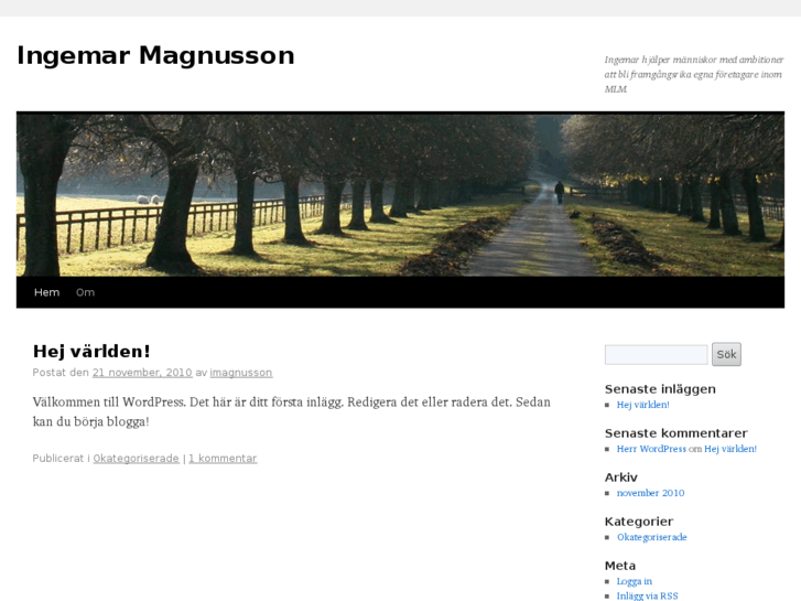 www.ingemarmagnusson.com