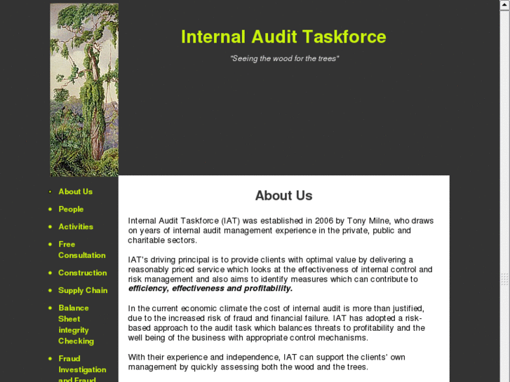 www.internalaudittaskforce.com