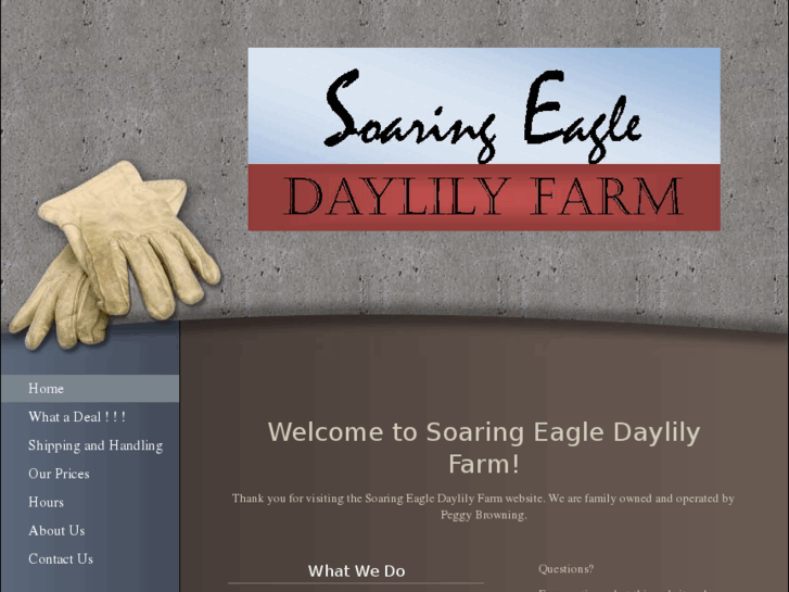 www.soaringeagledaylilyfarm.com