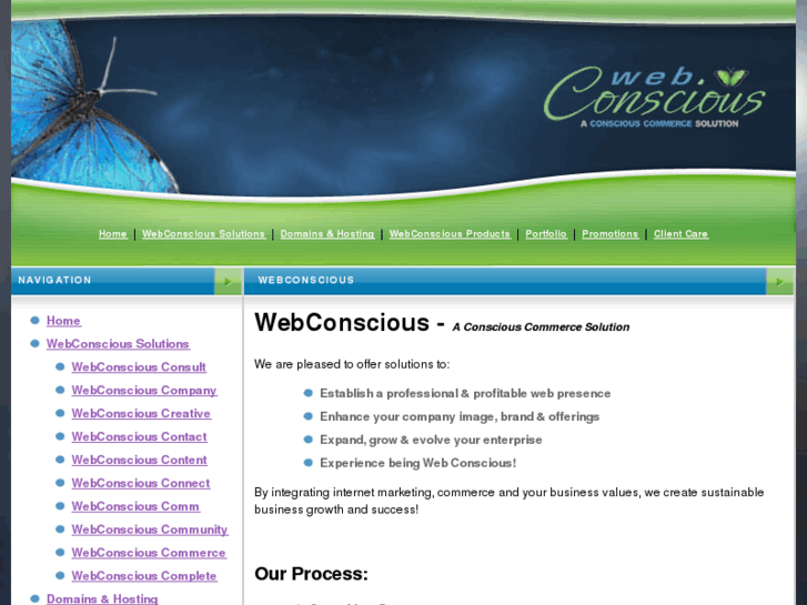 www.webconscious.biz