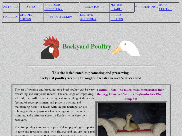 www.backyardpoultry.com