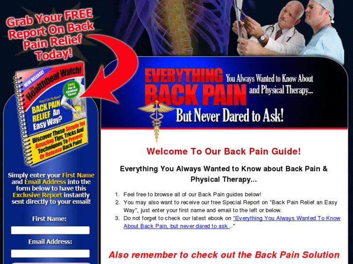 www.bestbackpainsolution.com