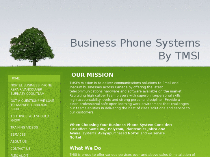 www.businessphonesystemsbytmsi.com