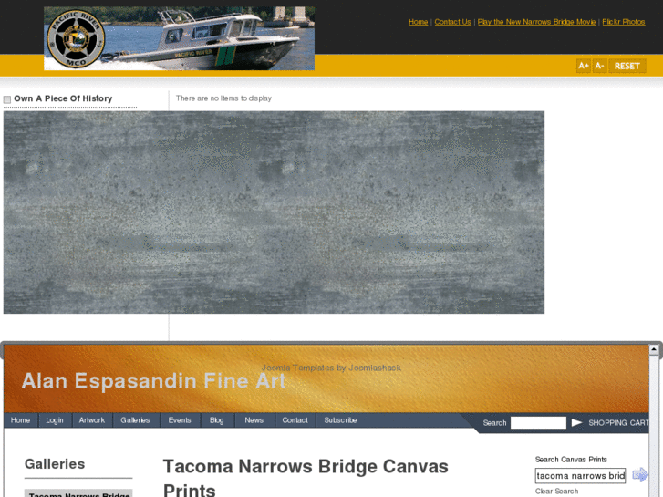 www.tacomanarrowsbridge.net