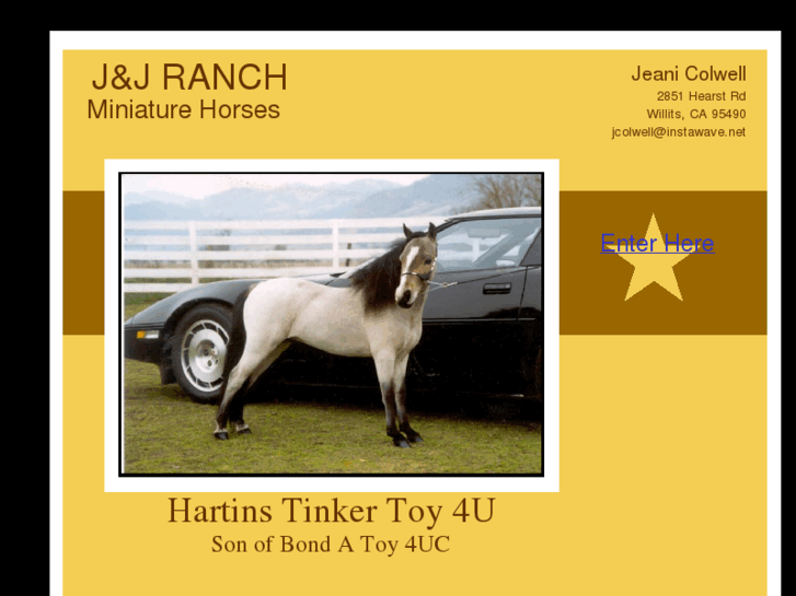 www.jjranchminaturehorses.com