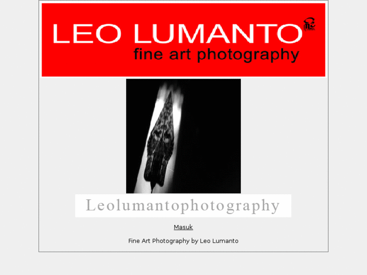 www.leolumantophotography.com