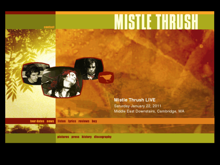 www.mistlethrush.com