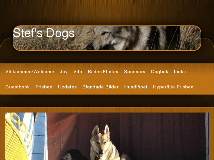 www.stef-dogs.com