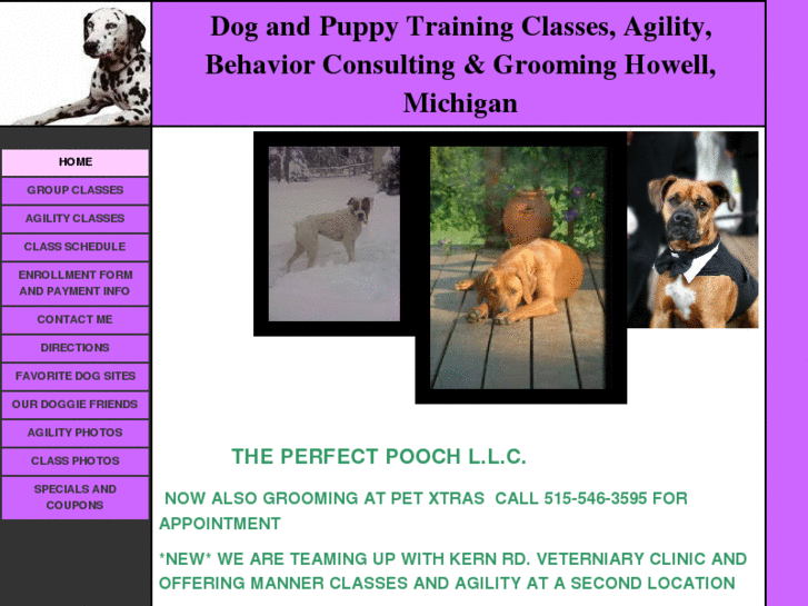 www.theperfectpoochtraining.com