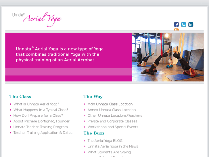 www.aerialyoga.biz