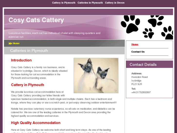 www.cosycatscattery.com