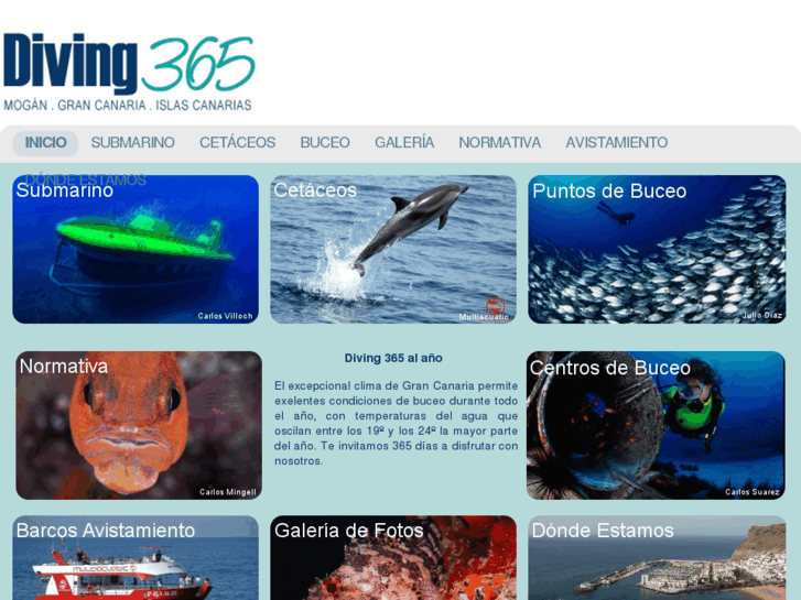 www.diving365.com