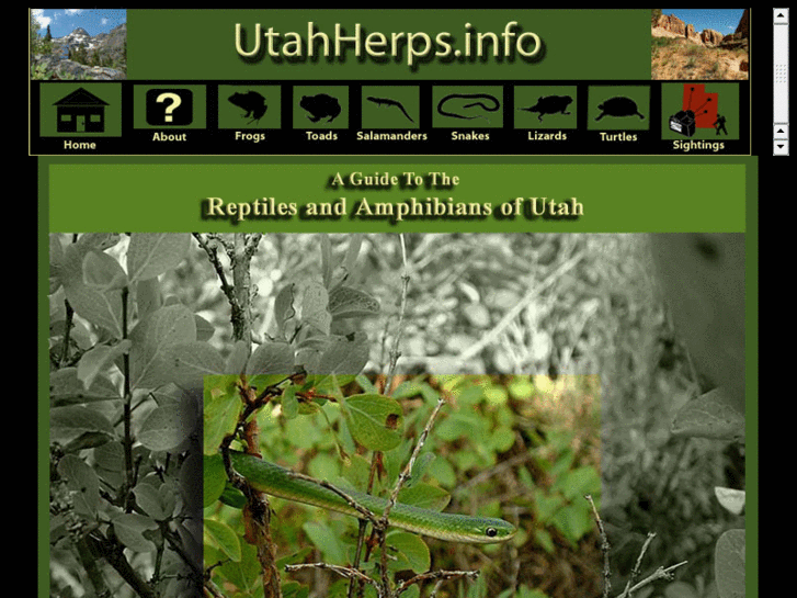 www.utahherps.info