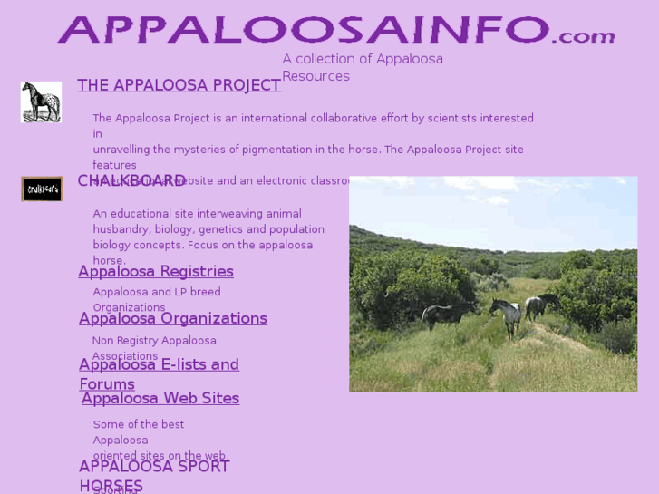 www.appaloosainfo.com