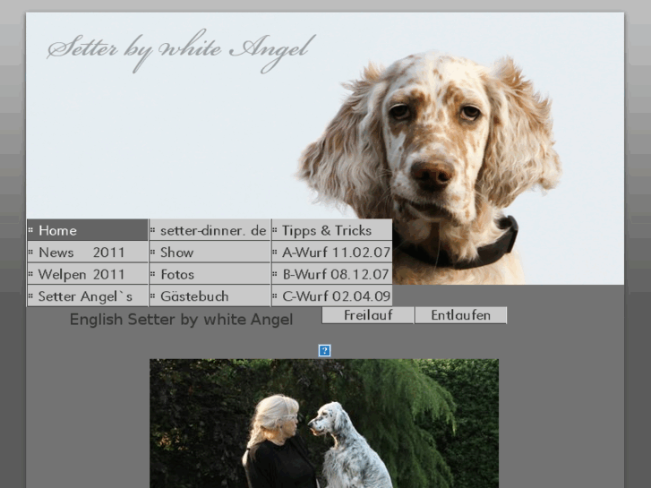 www.english-setter-welpen.net