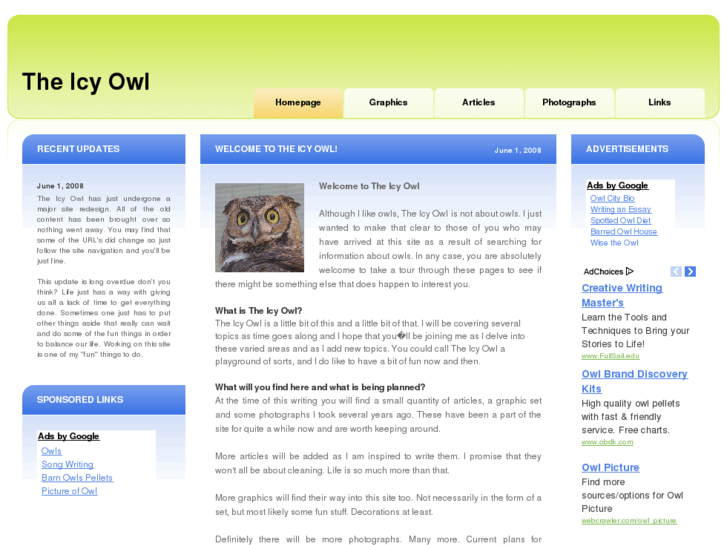 www.icyowl.com