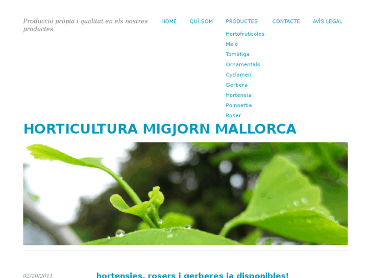 www.migjornmallorca.com