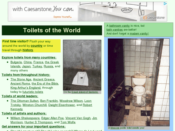 www.toilet-guru.com