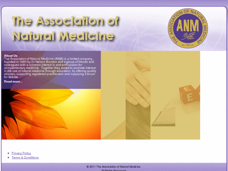 www.associationnaturalmedicine.co.uk