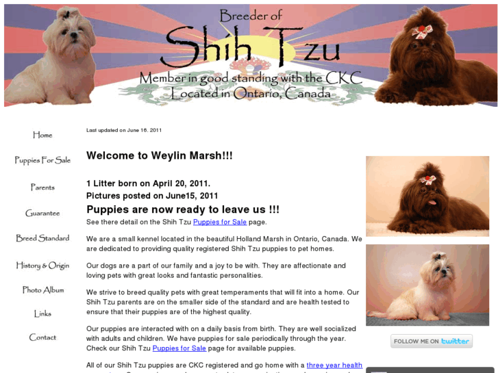 www.ckcshihtzu.com