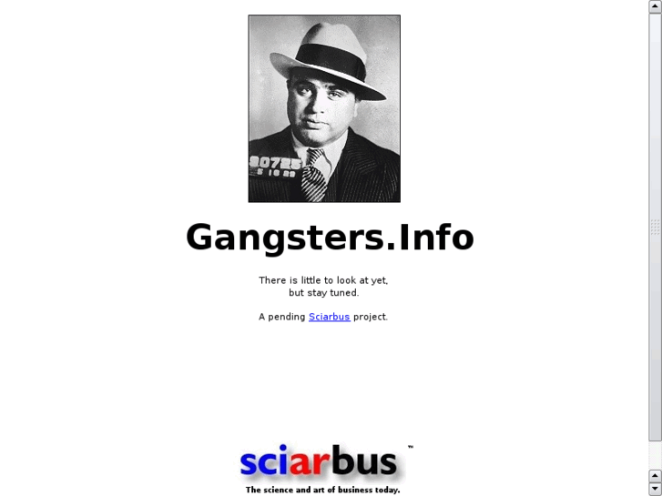 www.gangsters.info