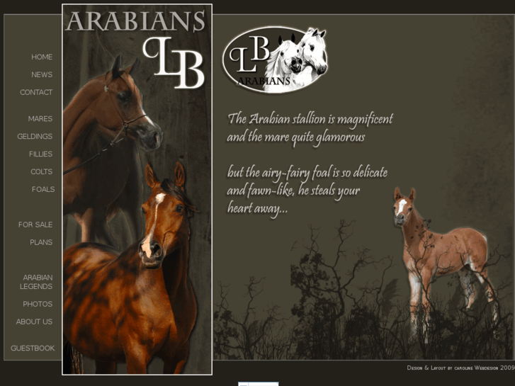 www.lbarabians.com