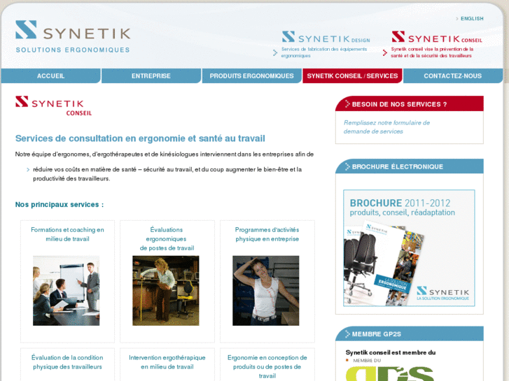 www.synetikconseil.com