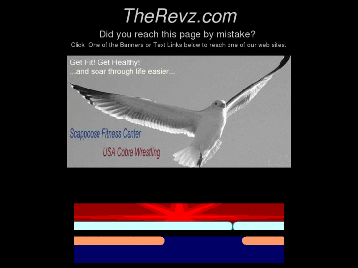 www.therevz.com