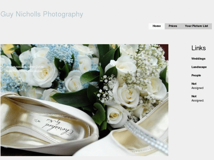 www.theweddingpicturecompany.com