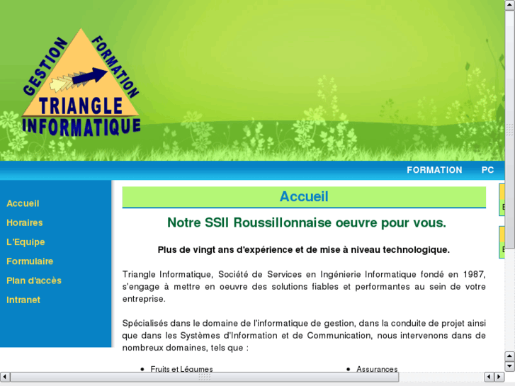 www.triangle-informatique.fr