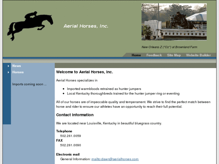 www.aerialhorses.com