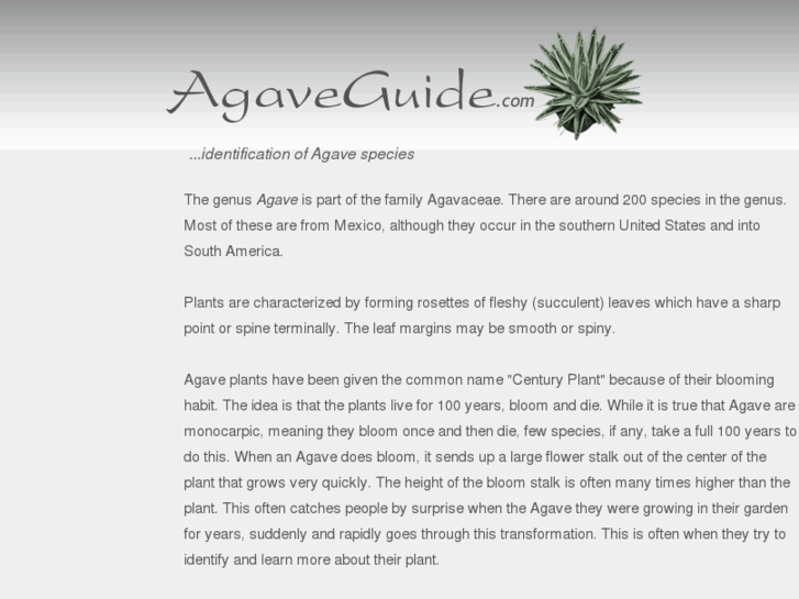 www.agaveguide.com