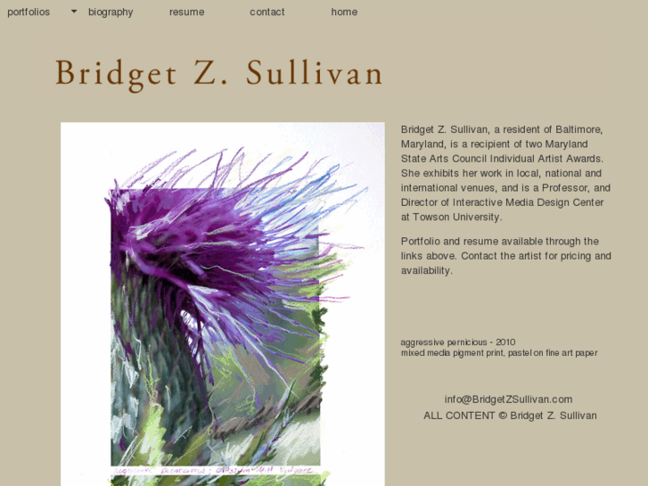 www.bridgetzsullivan.com