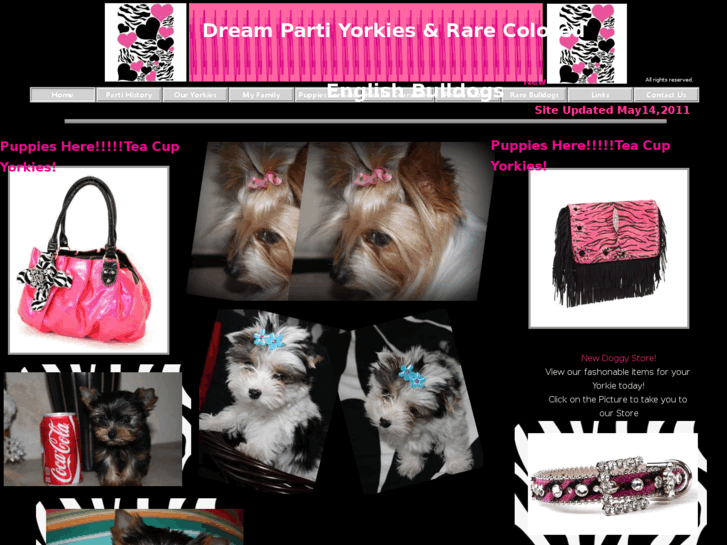 www.dreampartiyorkies.com