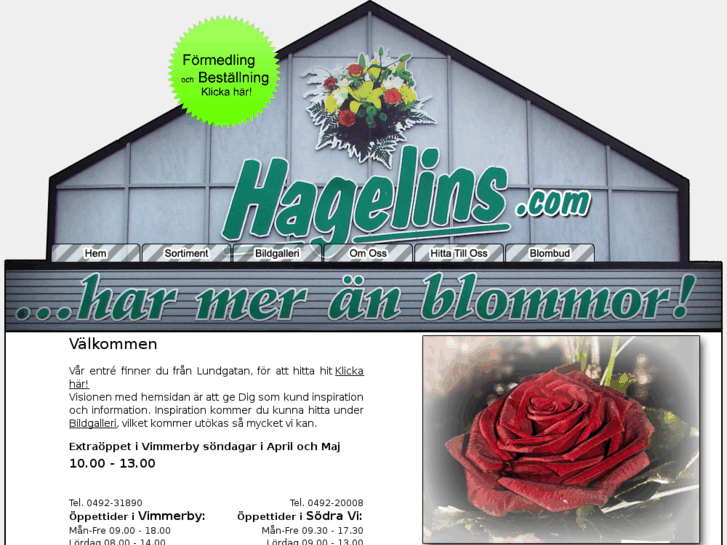 www.hagelins.com