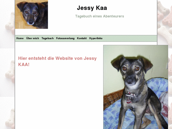 www.jessykaa.com