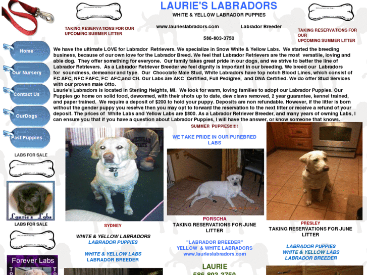 www.laurieslabradors.com