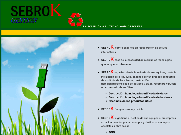 www.sebrok.com